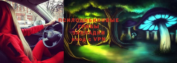 мдпв Новозыбков