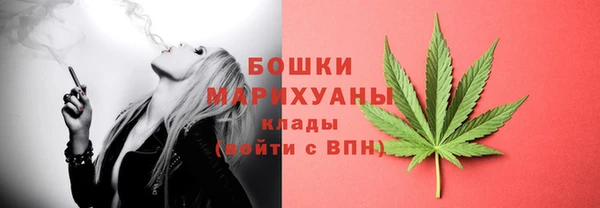 бошки Новодвинск