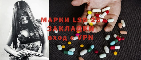 мдпв Новозыбков