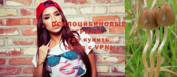 бошки Новодвинск