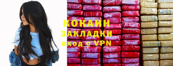 мдпв Новозыбков