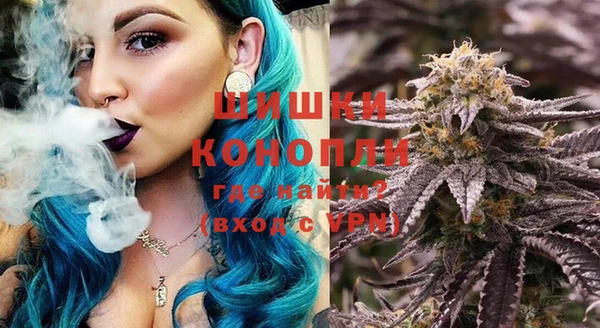 мдпв Новозыбков