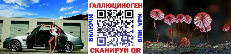 сколько стоит  Тавда  Псилоцибиновые грибы Psilocybe 
