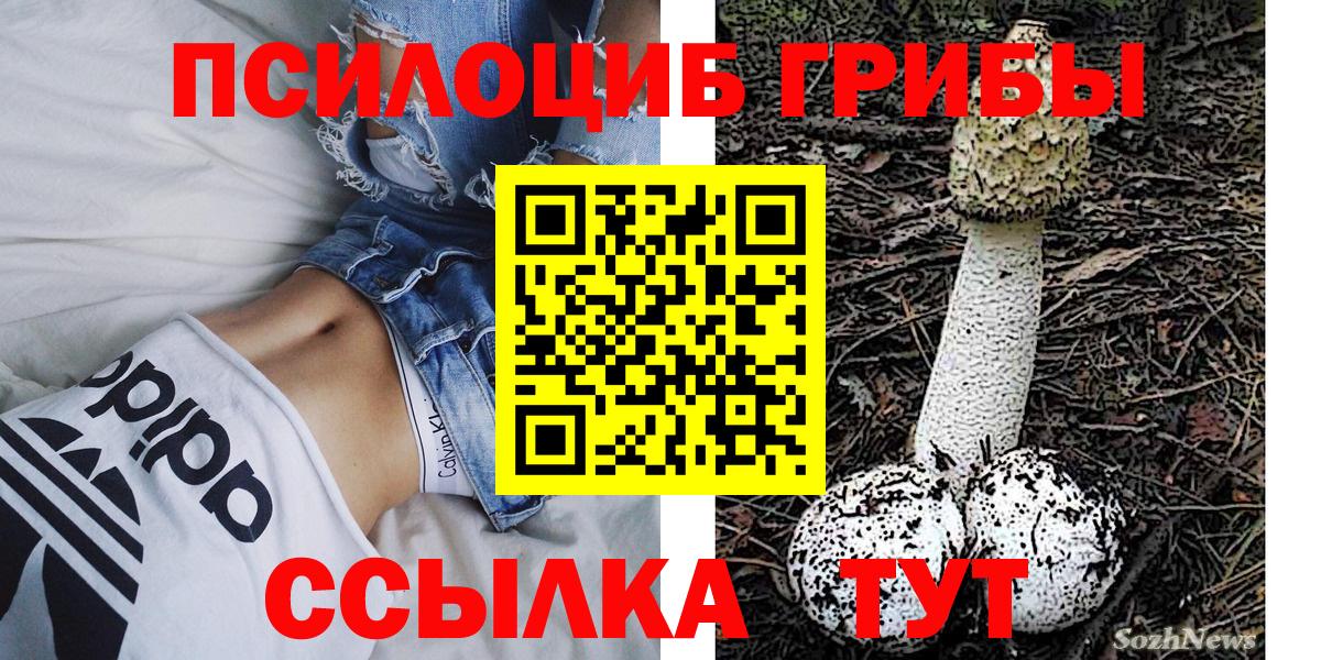 Тавда  Псилоцибиновые грибы GOLDEN TEACHER  Псилоцибиновые грибы мухоморы  Вход с VPN 
